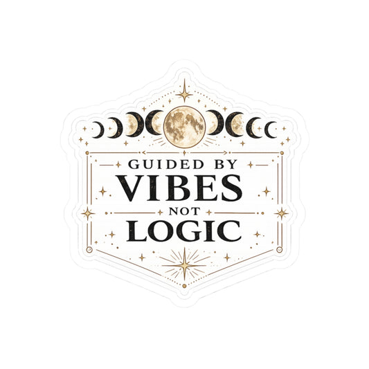 Guided by Vibes, Not Logic