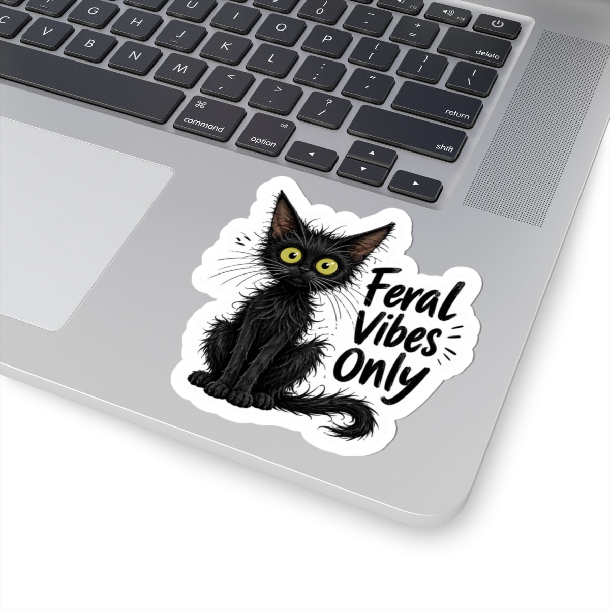 Feral Vibes Only Cat